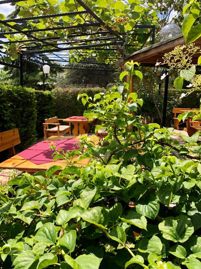 Hotel Jambo Zlatni pjasătsi Eksteriør bilde